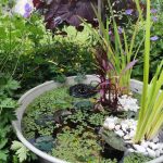 Cómo crear una pequeña charca de jardín
