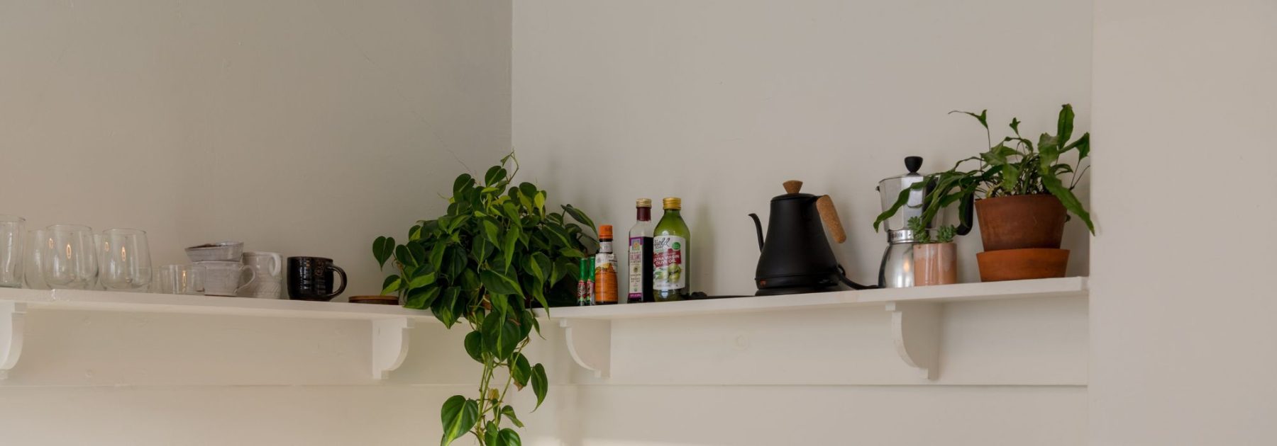 Plantas de interior para la cocina: nuestras variedades ideales y nuestros consejos para decorar este espacio