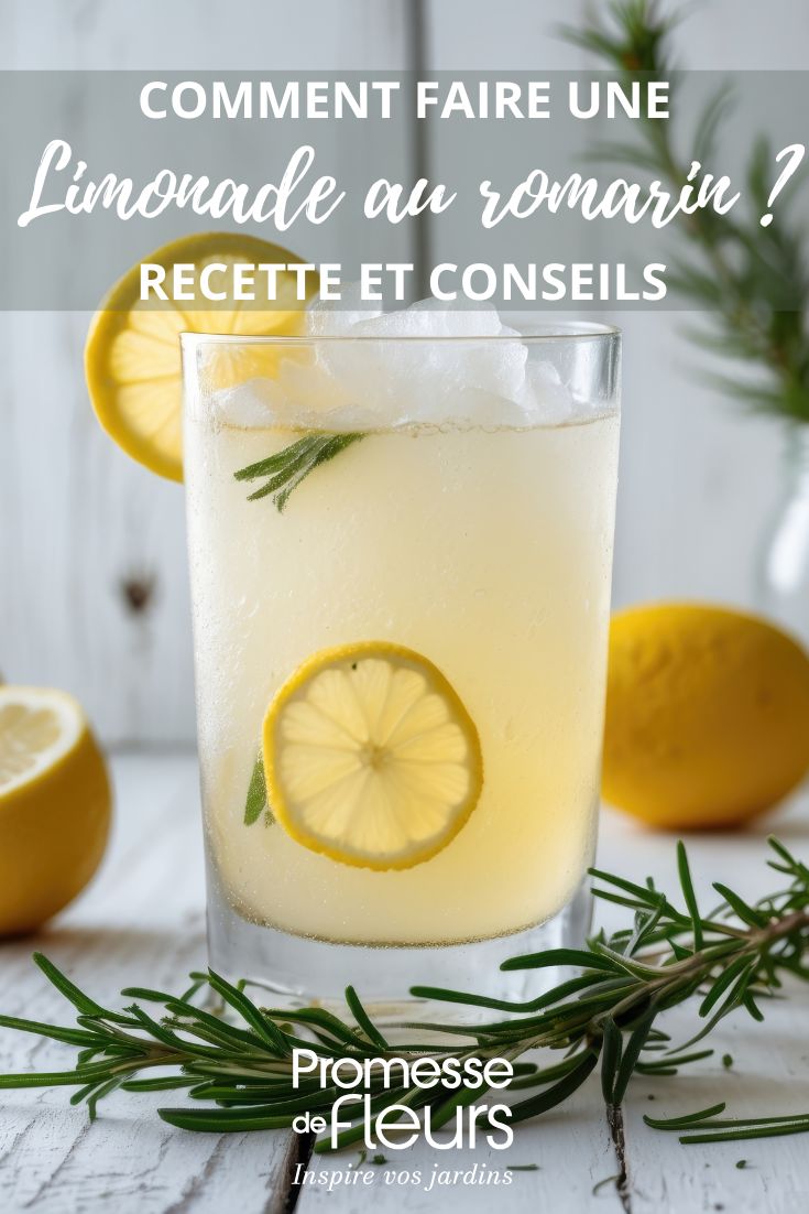 Receta de limonada con limón y romero