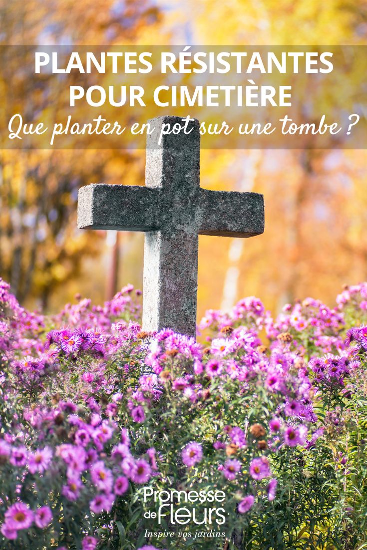 colocar flores en una tumba