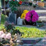 Plantas resistentes para cementerio: ¿qué plantar en maceta sobre una tumba?