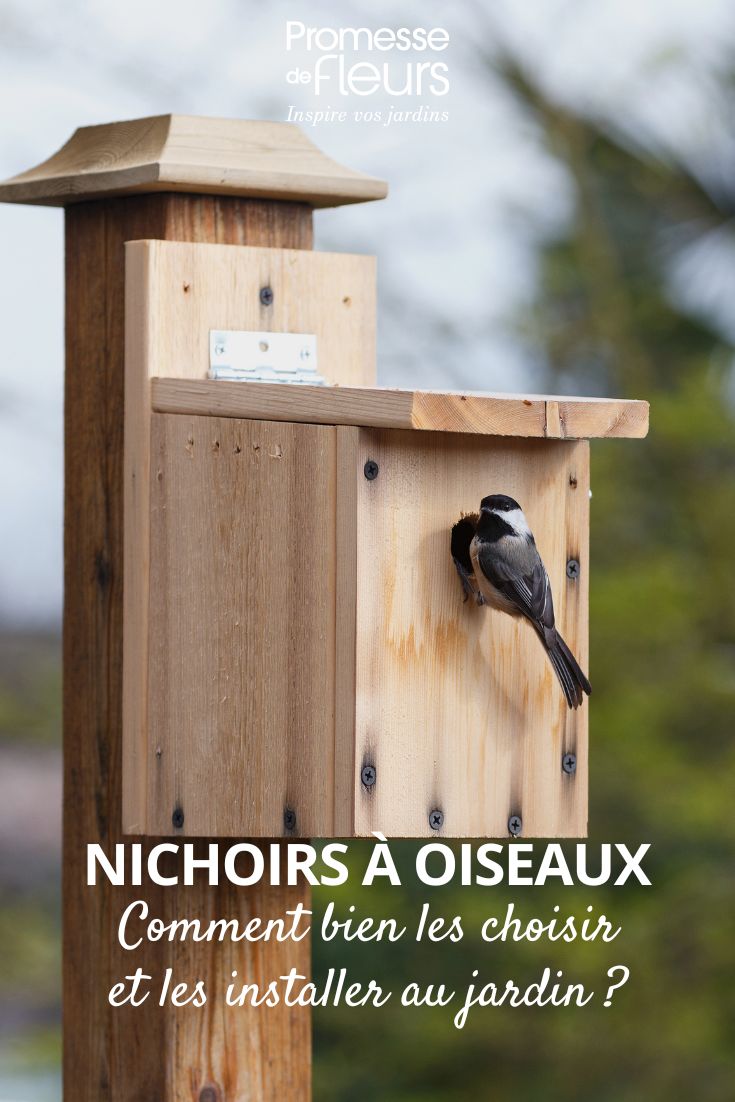 una casita para pájaros