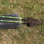 ¿Cómo multiplicar la prêle (Equisetum) en el jardín?