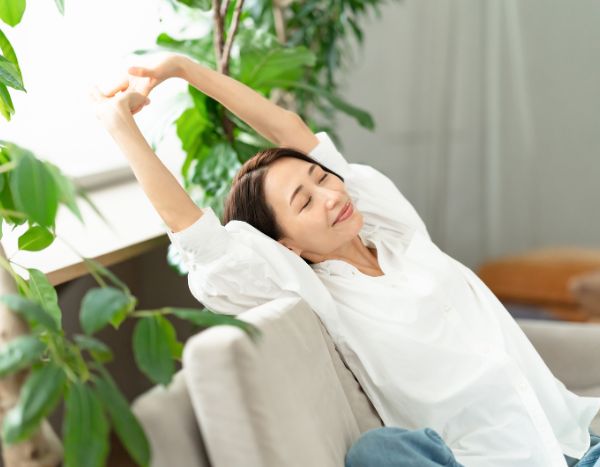 Plantas verdes y bienestar: su impacto psicológico y estético