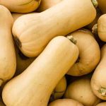 Cómo cultivar la calabaza butternut ? Nuestros consejos