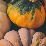 Calabazas poco conocidas o olvidadas: auténticos tesoros para el Huerto