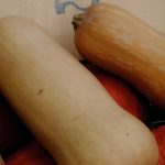 Butternut vs potimarron: ¿qué diferencias hay en el huerto y en la cocina?