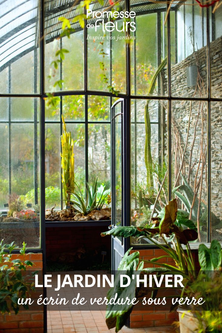 jardín bajo invernadero y Veranda