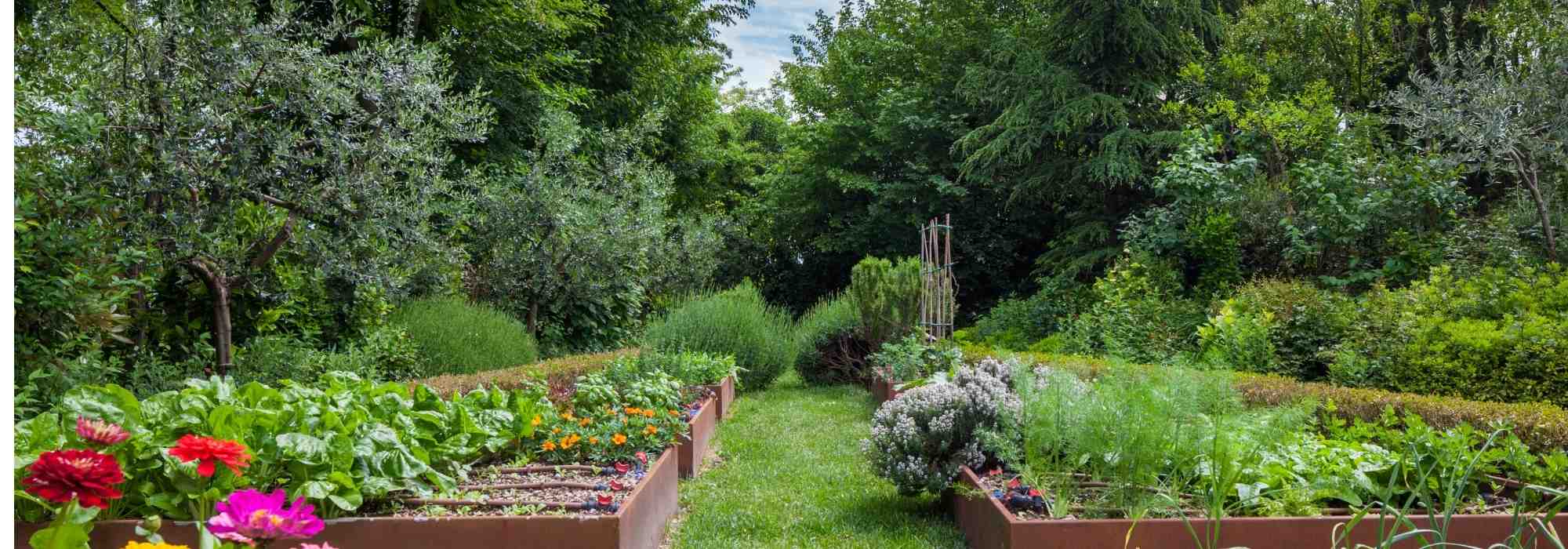 Suelo vivo y productividad: ¿cómo la agroforestería puede revolucionar nuestros Huertos?