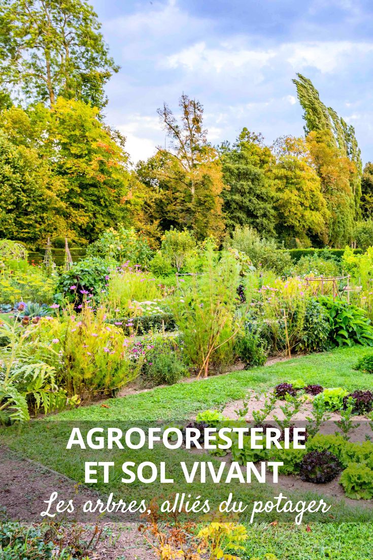 Huerto y agroforestería