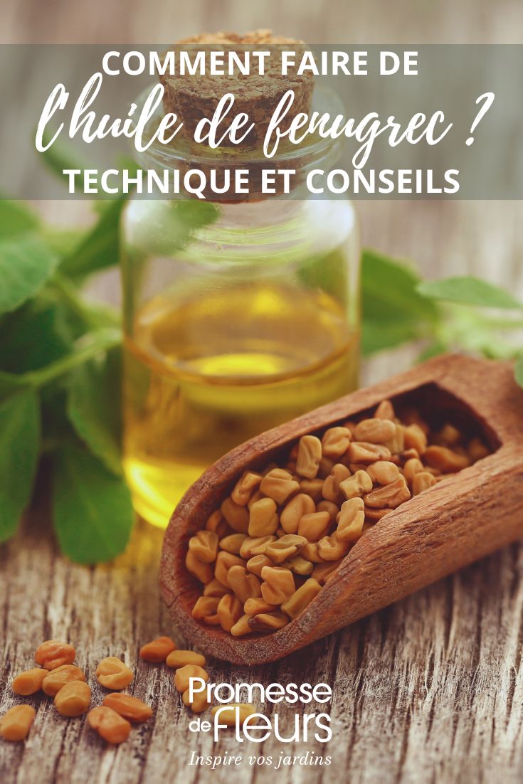 Tutorial de aceite de alholva casero