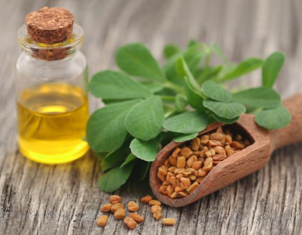 ¿Cómo hacer aceite de fenogreco?