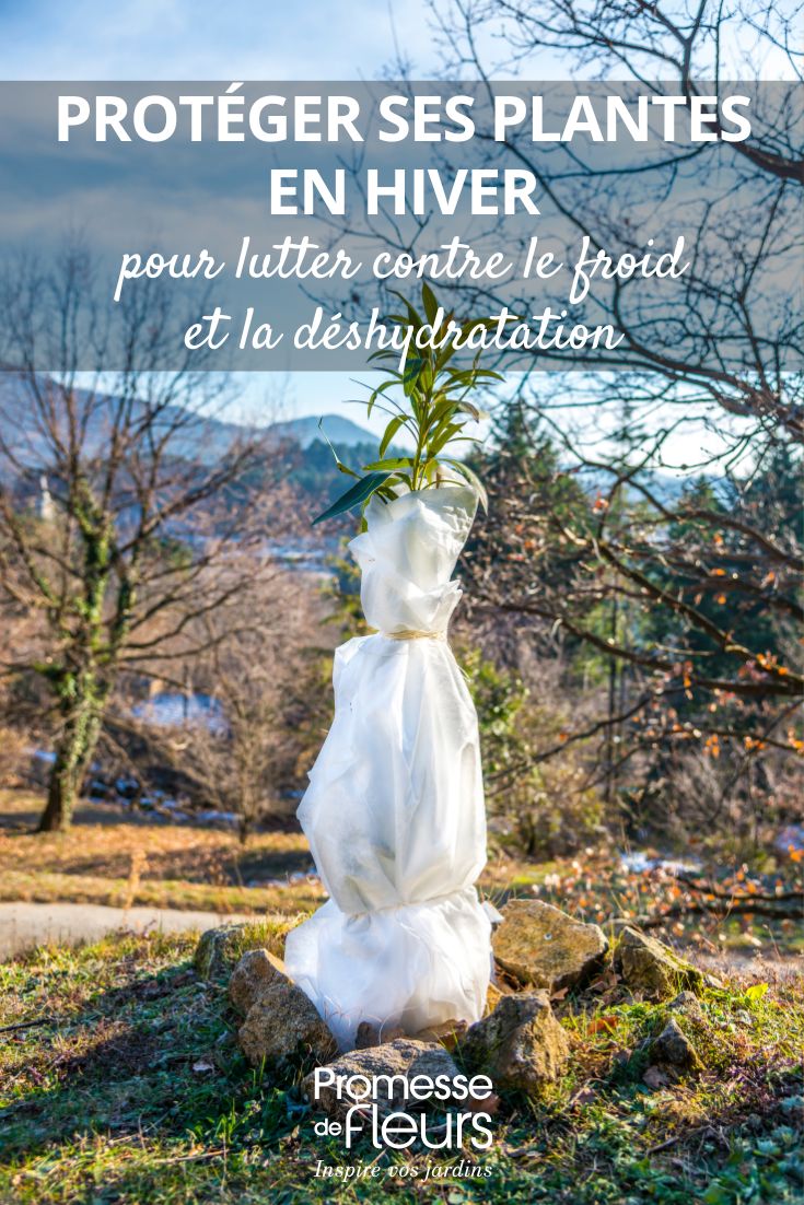 cubierta de invernada sobre la planta