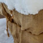 Proteger sus plantas en invierno: combatir el frío y la deshidratación