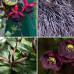 Tendencia de color 2026: Dark Academia, el jardín melancólico y romántico