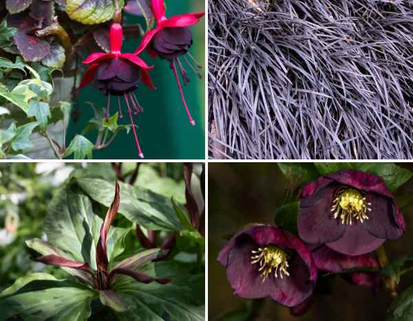 Tendencia de color 2026: Dark Academia, el jardín melancólico y romántico