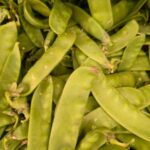 La siembra de guisantes verdes: ¿cuándo y cómo?