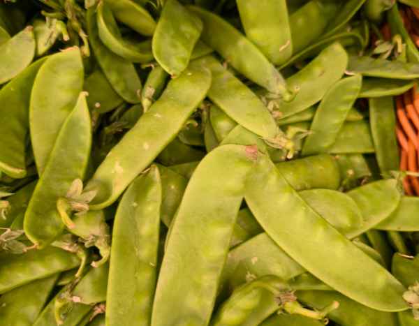 La siembra de guisantes verdes: ¿cuándo y cómo?