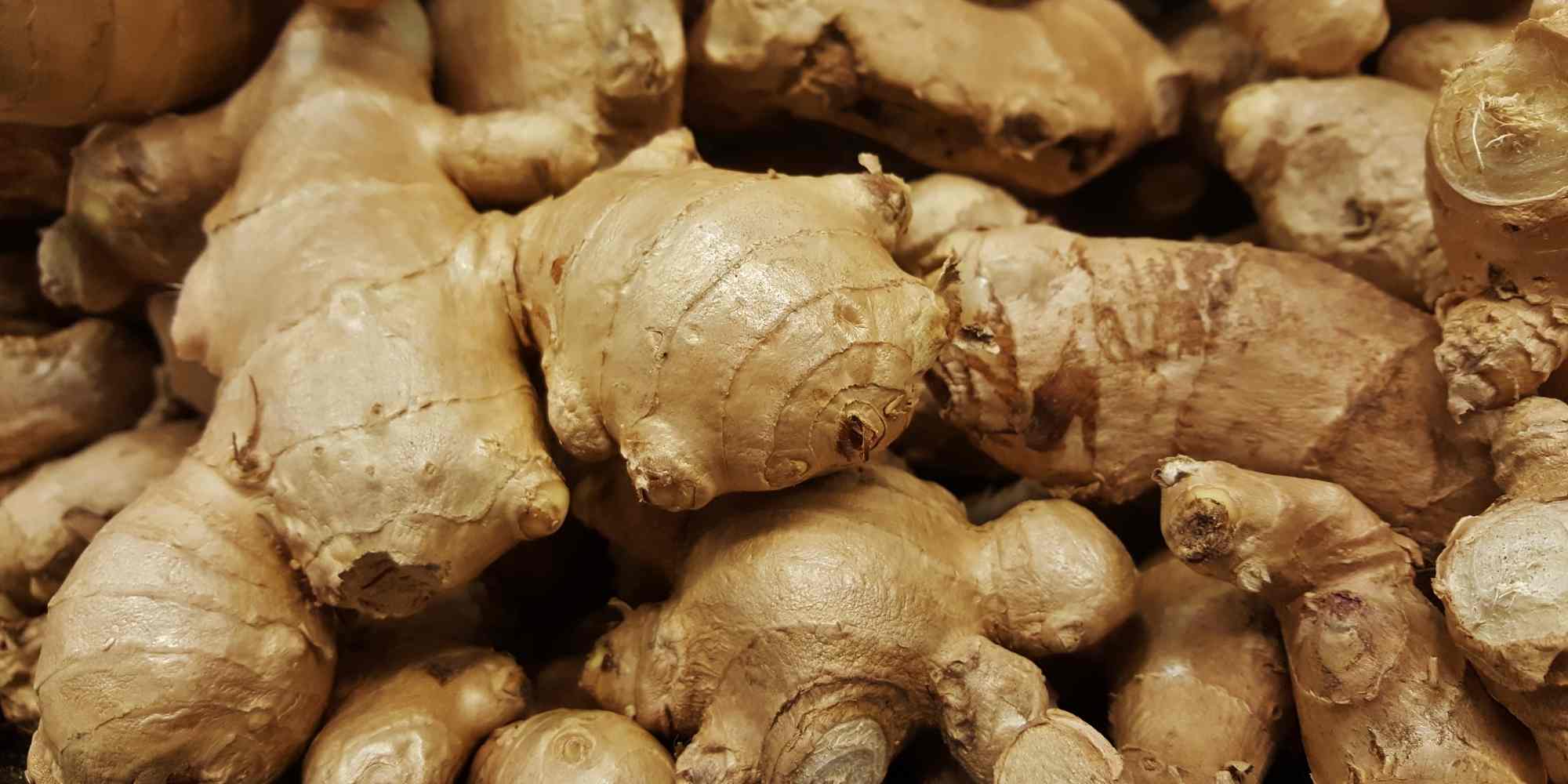 Cultivar jengibre por sus beneficios para la salud