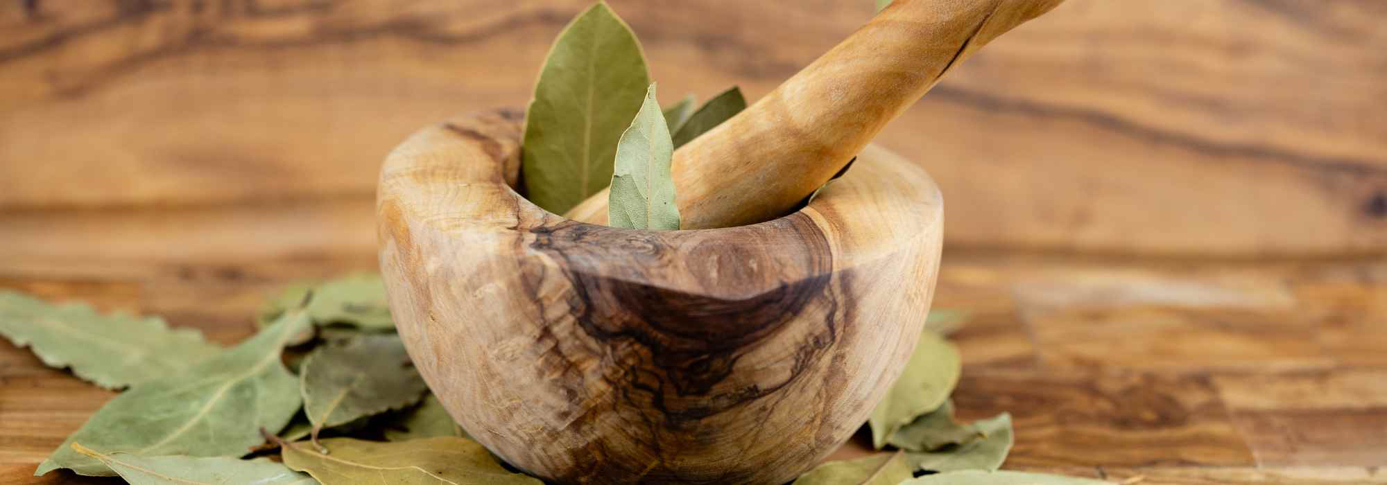 Laurel y salud: cómo cultivarlo para aprovechar sus beneficios