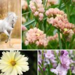 Tendencia de color Unicornio