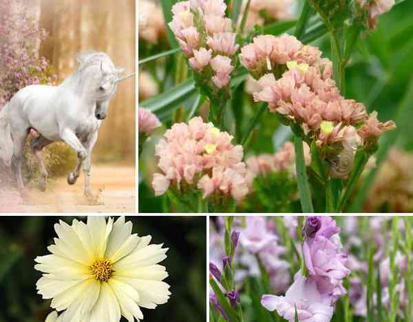 Tendencia de color Unicornio