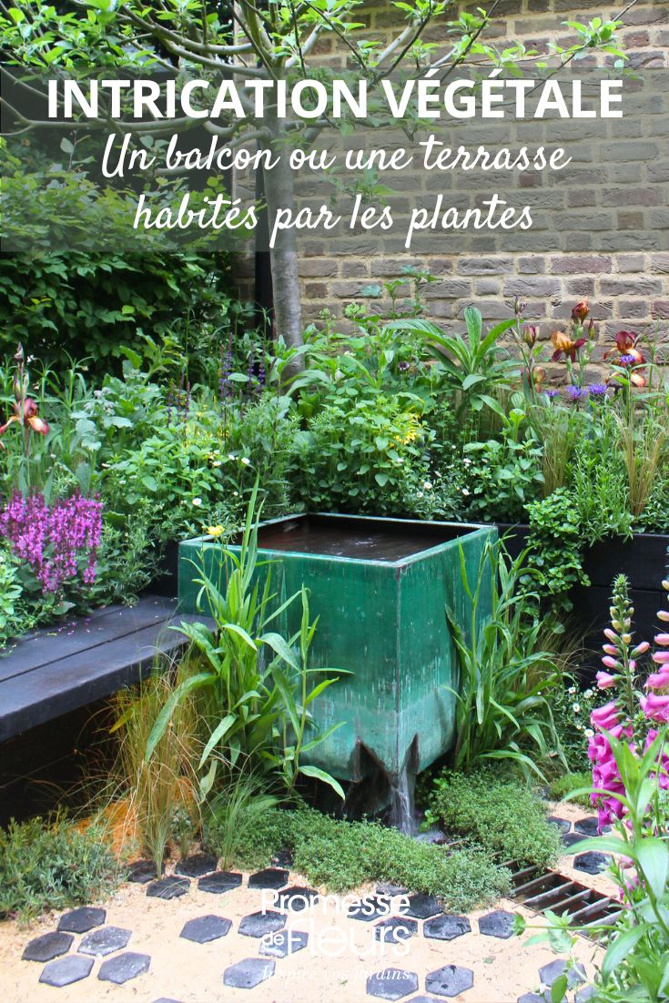 TERRAZA Y PLANTAS