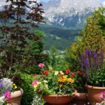 Jardinería a media altitud: ¿qué plantas son adecuadas y qué errores hay que evitar?