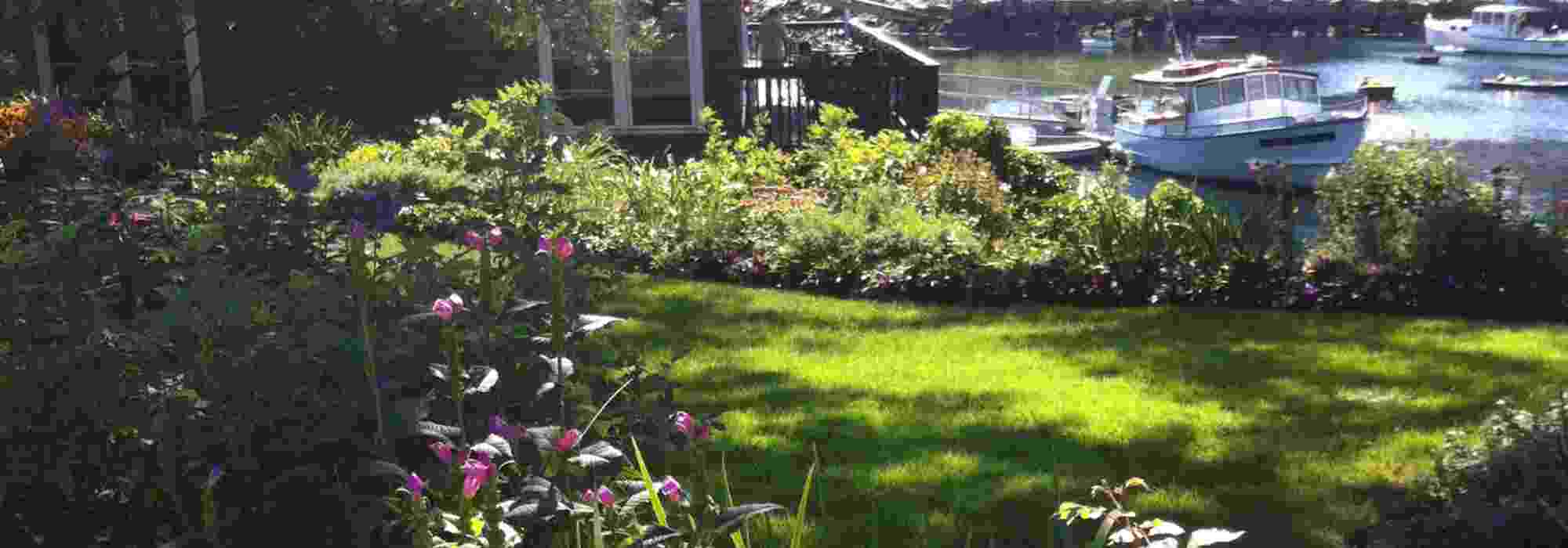 Crear un macizo en un jardín expuesto a los vientos