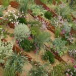 Jardín de arena: una inspiración paisajística audaz y actual