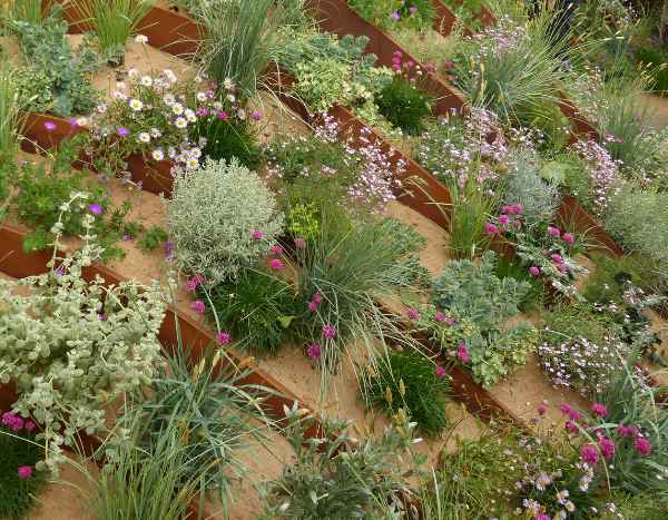 Jardín de arena: una inspiración paisajística audaz y actual