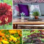 Tendencia de jardín: Boho Patio