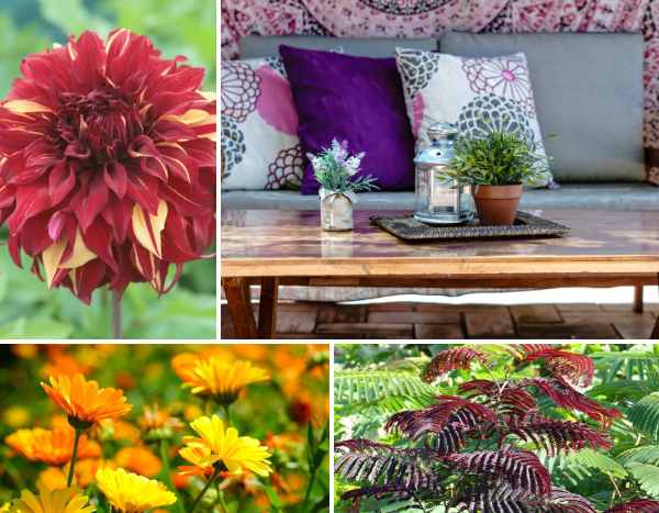 Tendencia de jardín: Boho Patio