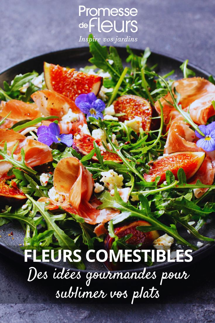 Flores comestibles: ideas deliciosas para realzar tus platos