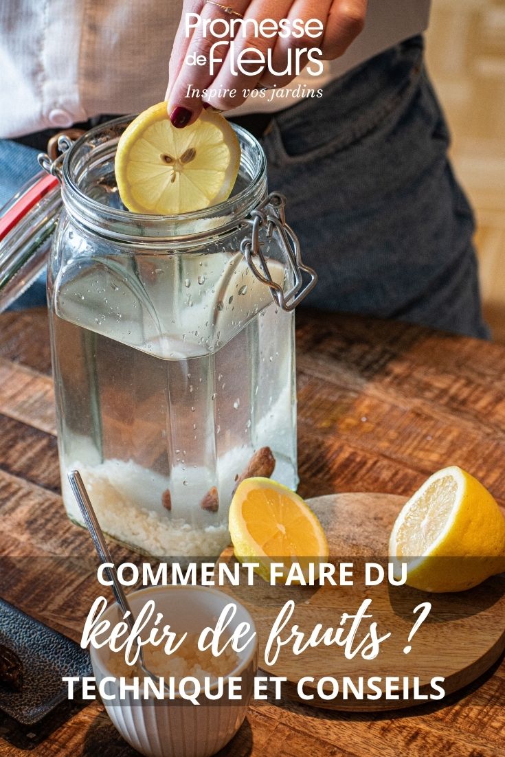 receta de kéfir de frutas