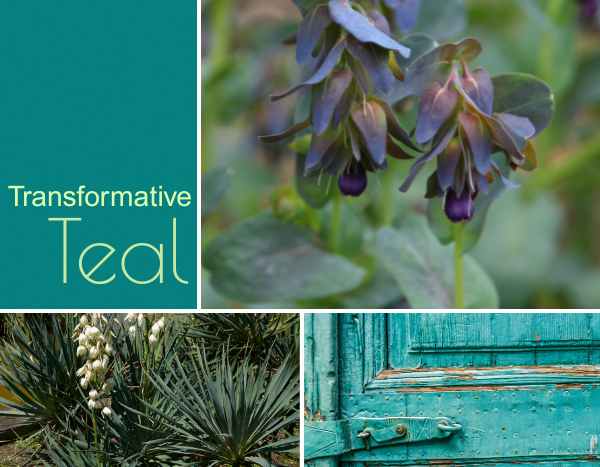 Color tendencia 2026 “Transformative Teal”: el azul pato transforma el jardín