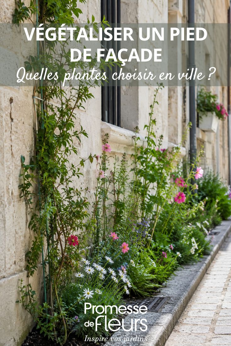 Fachada de ciudad con plantas - Imagen IA
