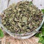 ¿Cómo secar la menta fresca?