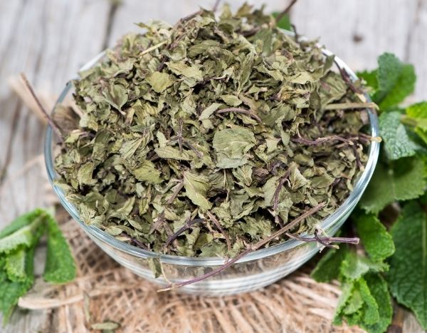 ¿Cómo secar la menta fresca?