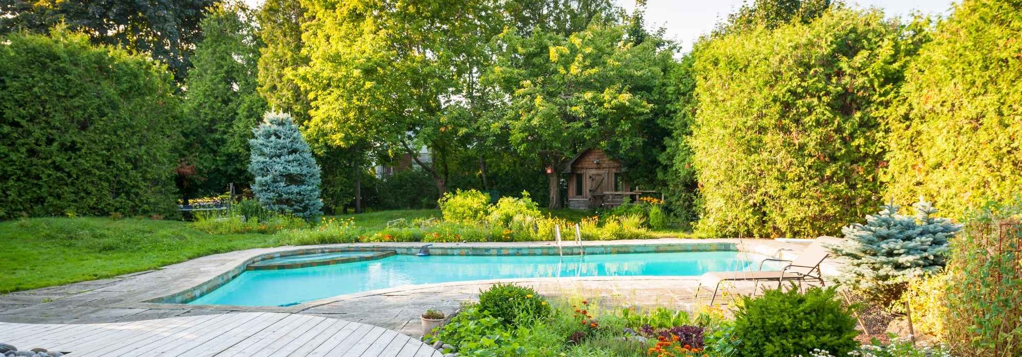 ¿Qué plantas elegir alrededor de una piscina?