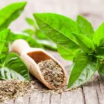 ¿Cómo secar la albahaca y conservar su aroma?
