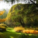 ¿Cómo ampliar un macizo existente en otoño?