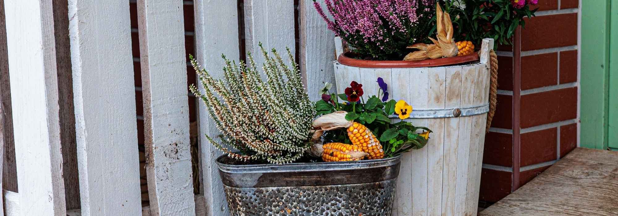 Combinar los pensamientos en una Jardinera de otoño: 5 ideas bonitas