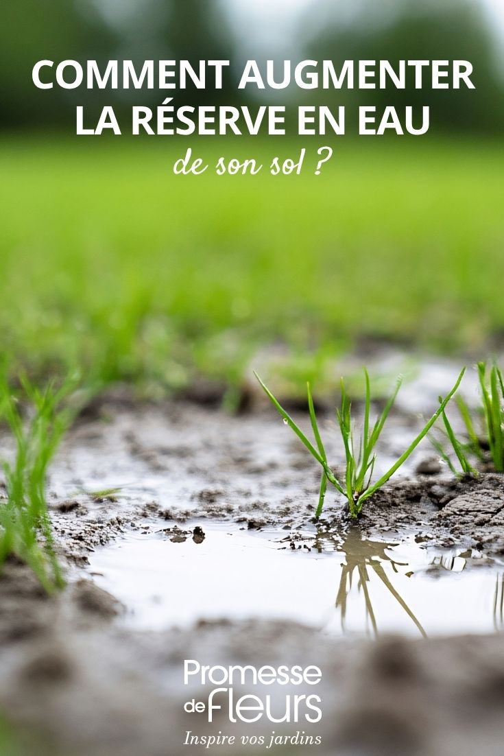 agua jardín suelo