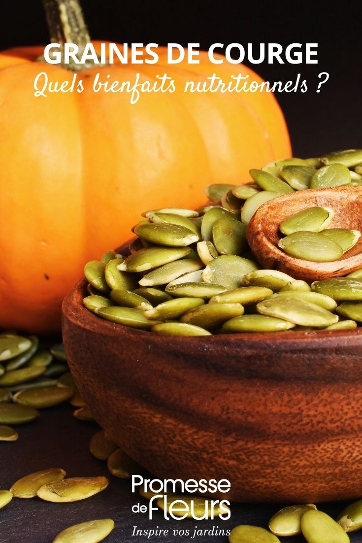 semillas de Calabaza