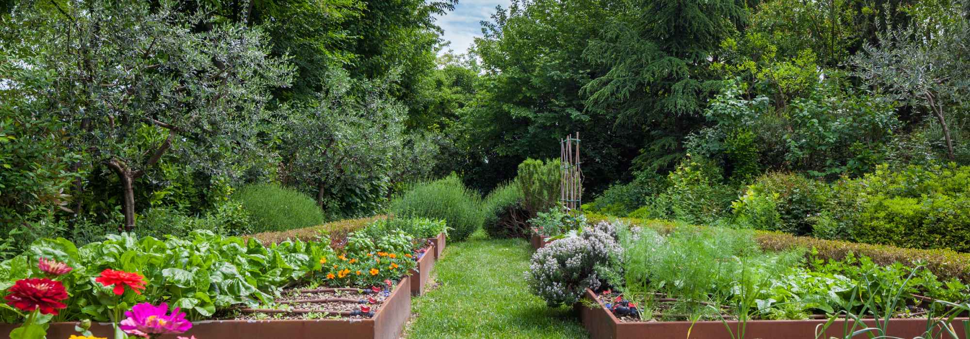 9 consejos de jardinería que siguen todos los jardineros, pero que resultan falsos