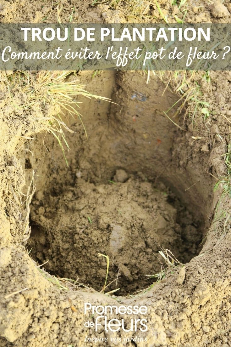 foto de un hoyo para la Plantación en el jardín