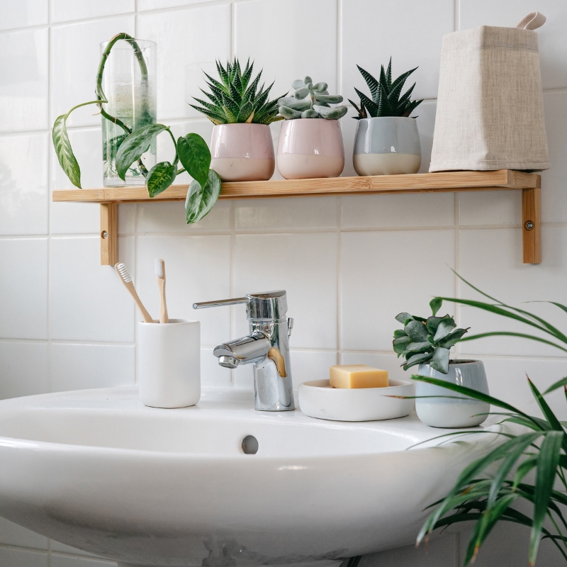 Plantas para el baño 