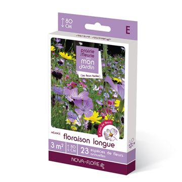 Semillas mixtas Floración larga
