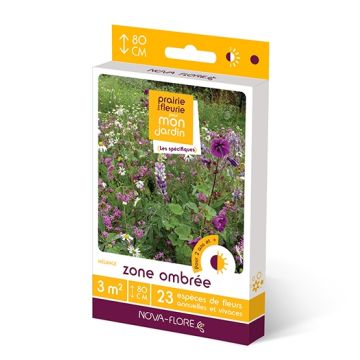 Mezcla de semillas para zonas de sombra